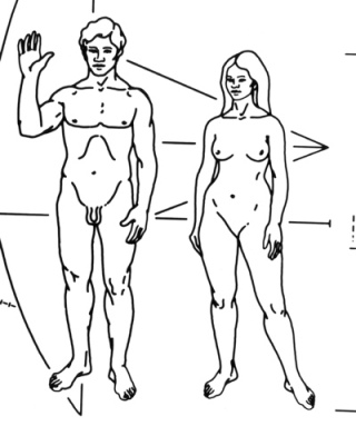 Human & Female Bodies